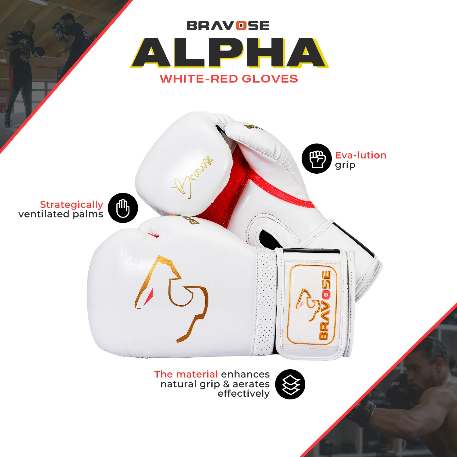 Alpha White & Red