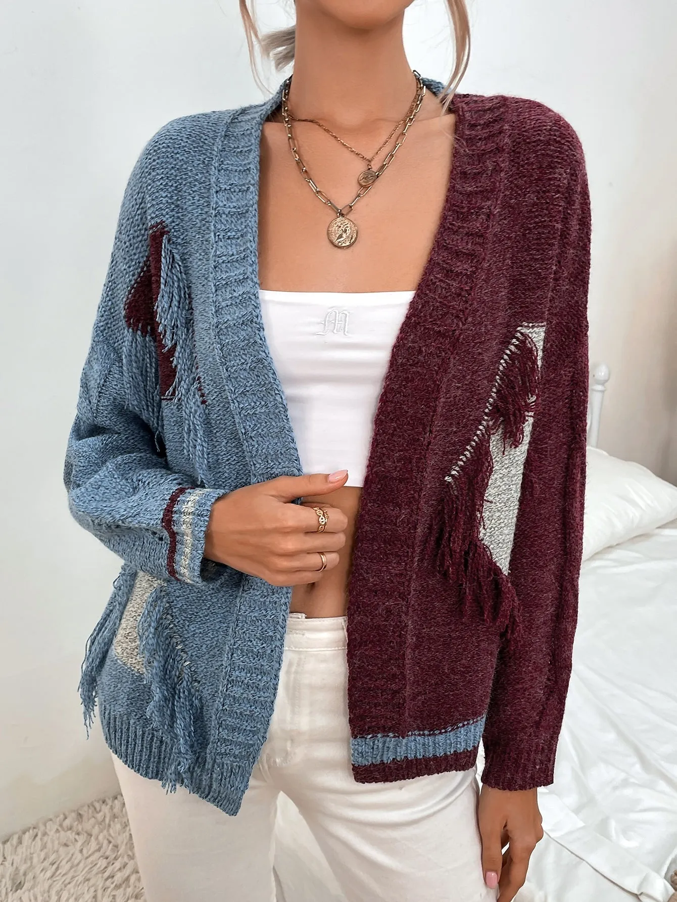 Casual Colorblock Fringe Long Sleeve Regular Women Cardigan