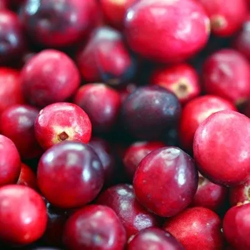 Cranberry Early Black