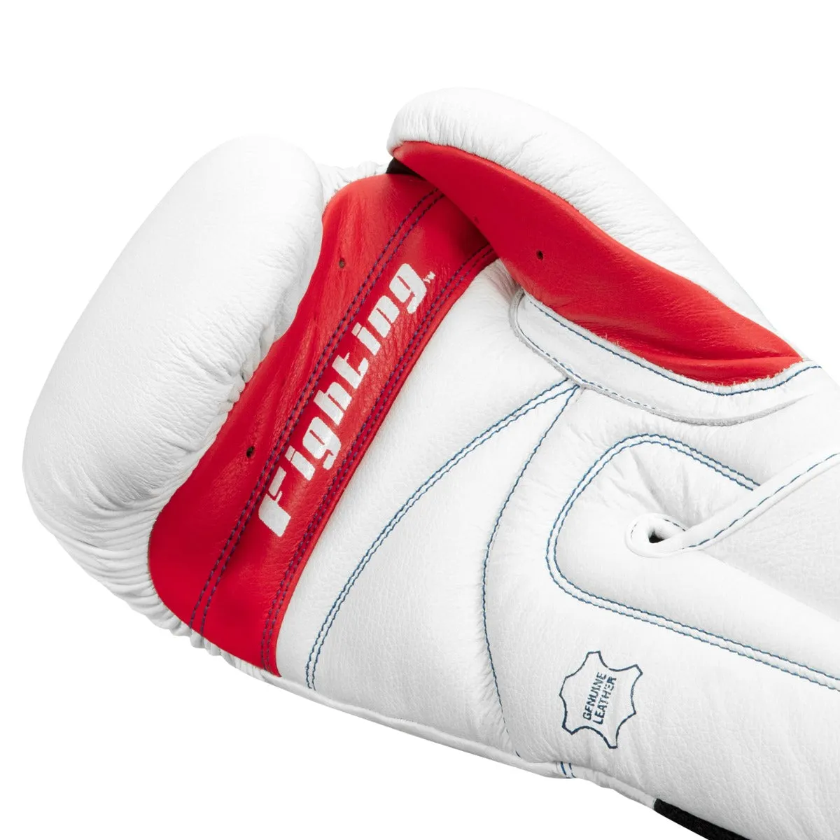 Fighting Leather Training Gloves