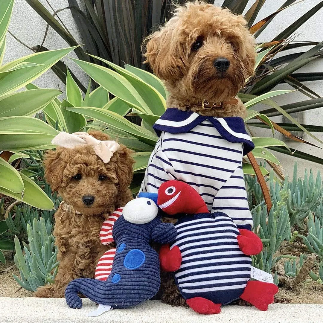 Summer Vacation Beach Dog T-shirts, Navy Blue, 2 Pack Sailor Suit Shirts